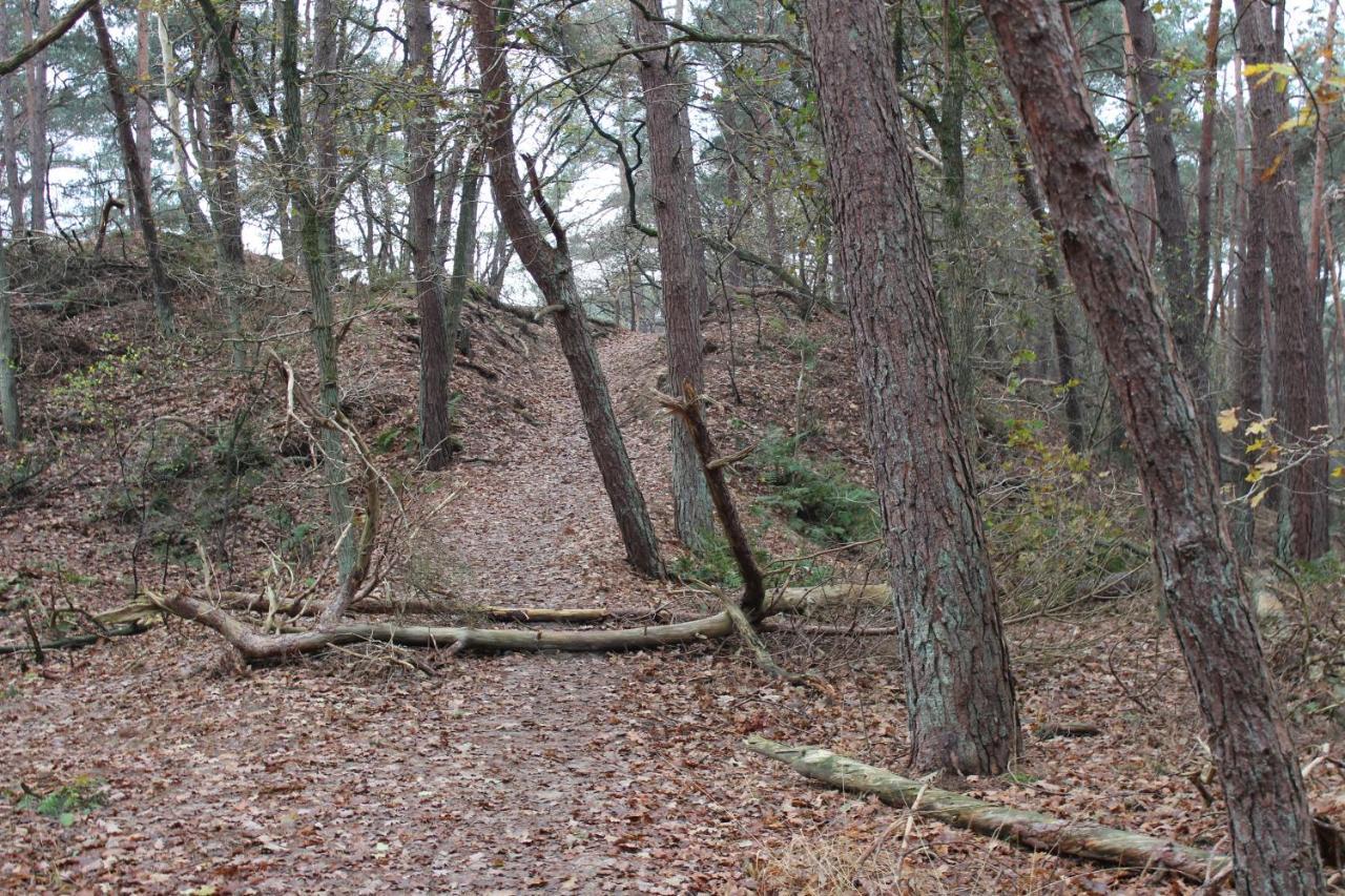 Camping Het Smitske Drunen Exteriör bild